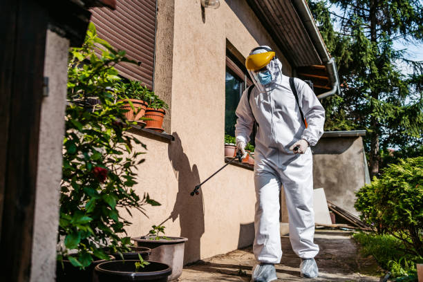 Best Flea Control Services  in Prices Fork, VA