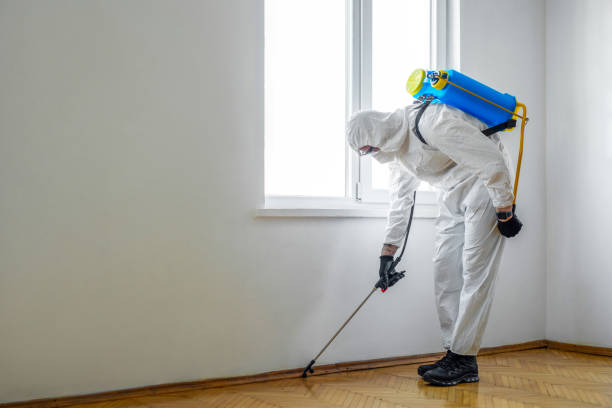 Best Emergency Pest Control  in Prices Fork, VA