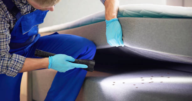 Professional Pest Control in Prices Fork, VA