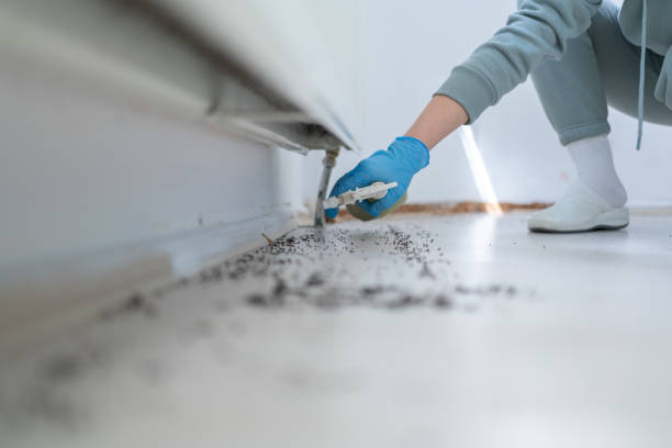 Best Best Pest Control Companies  in Prices Fork, VA