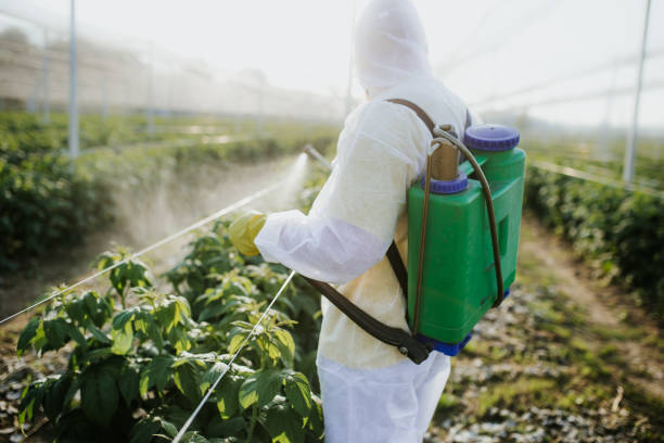 Best Rat Extermination Near Me  in Prices Fork, VA